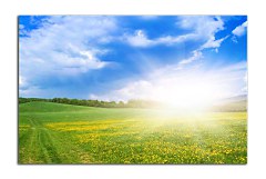 Obraz na stenu ZS - bez pomeru strán